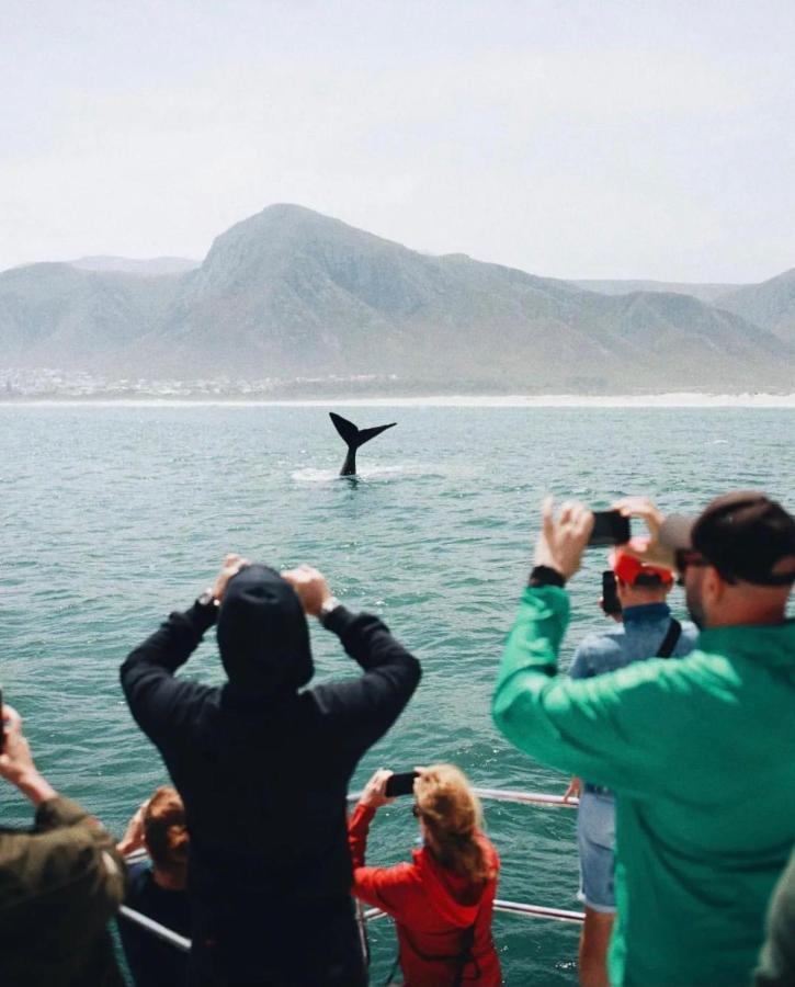 Hermanus Whale Cottage Esterno foto